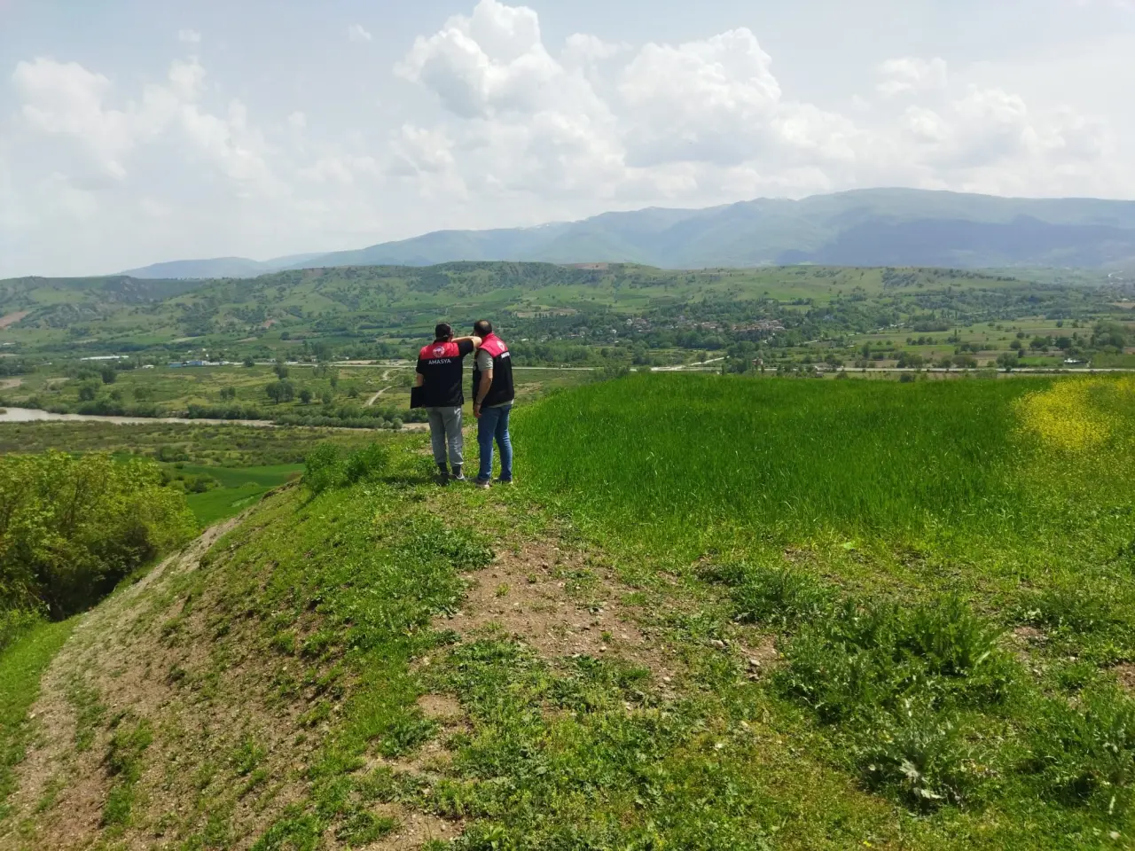 Amasya’da Yem Bitkisi Kontrolleri Sürüyor 1