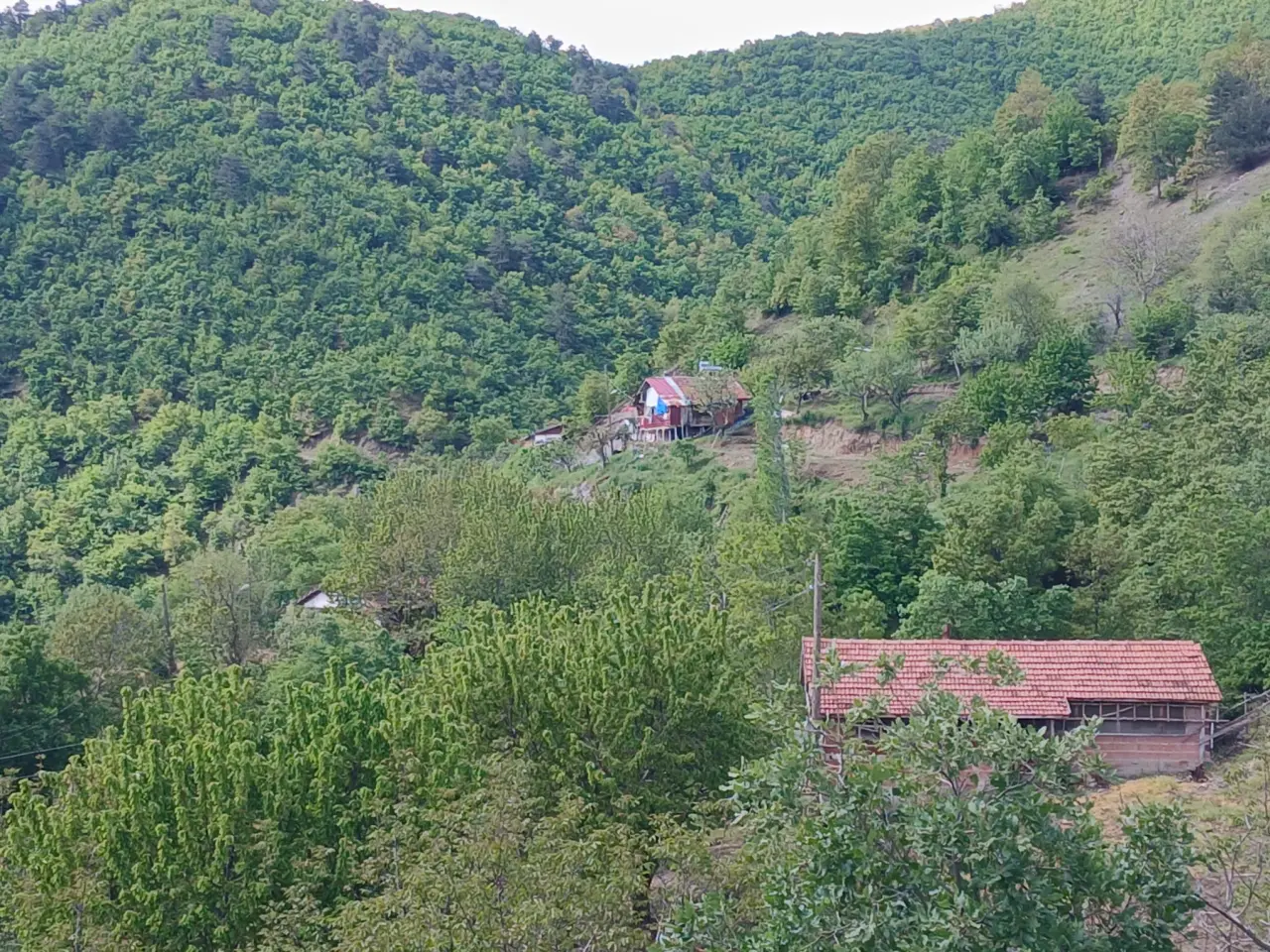 Amasya’nın Yaylalarında Hayvancılık Mesaisi 3