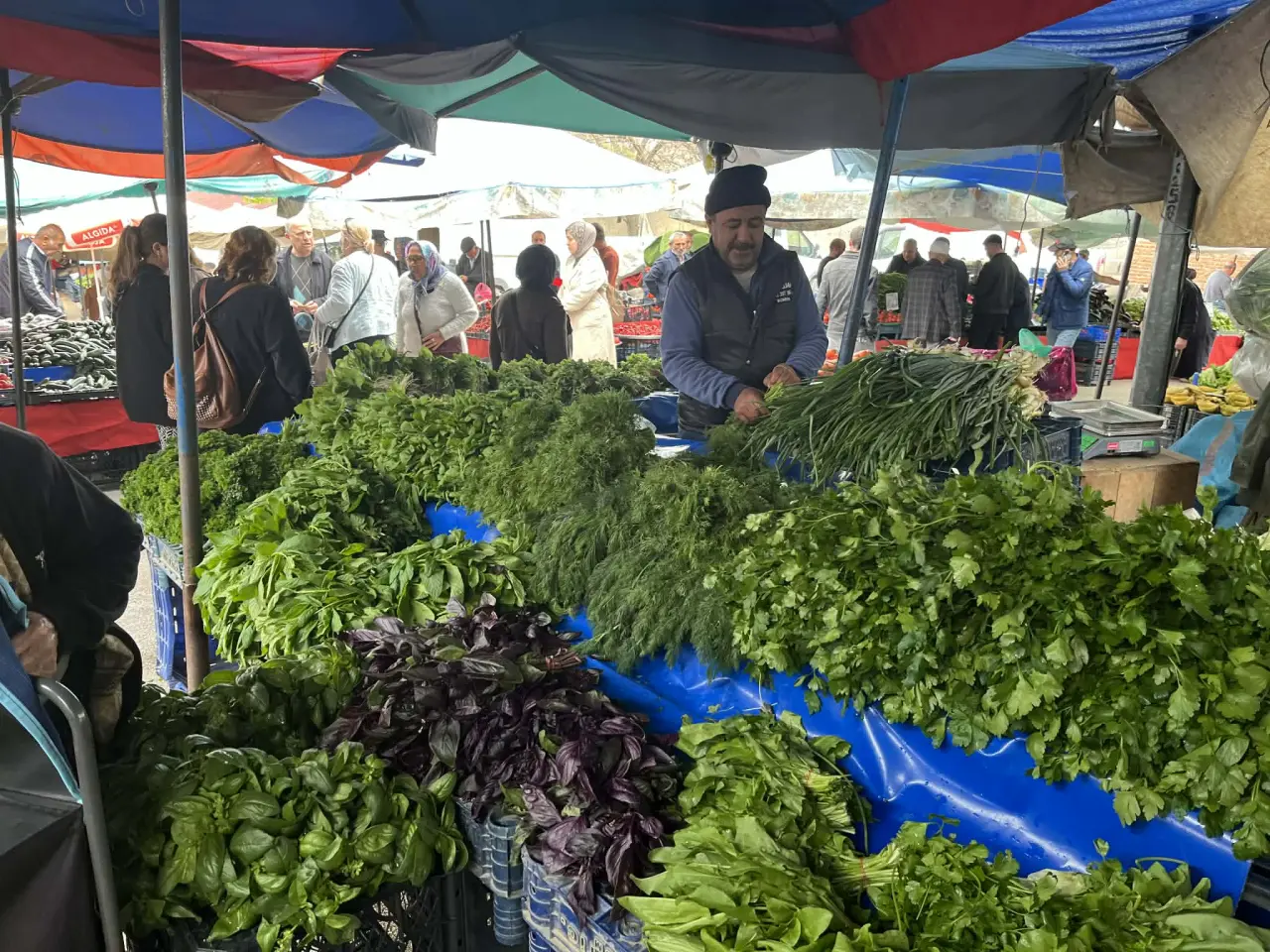 Merzifon Pazarı’nda Tezgahlar Renklendi 5