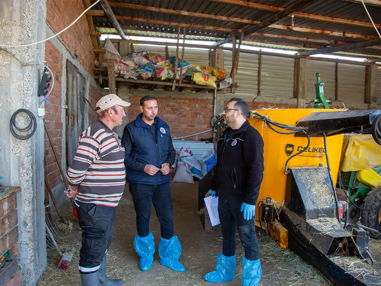 Merzifon’da Hayvancılığa Can Suyu 1