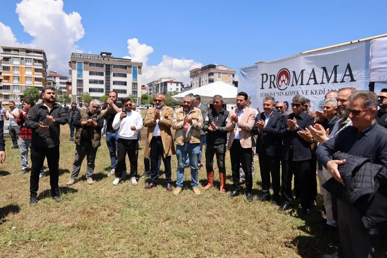 Merzifon’da Bölgesel Güç Gövde Gösterisi Yaptı 8
