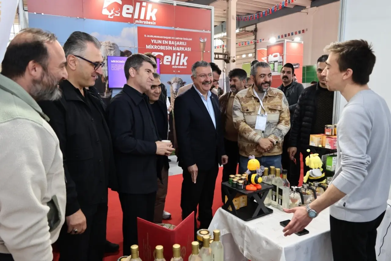 Merzifon’da Bölgesel Güç Gövde Gösterisi Yaptı 2