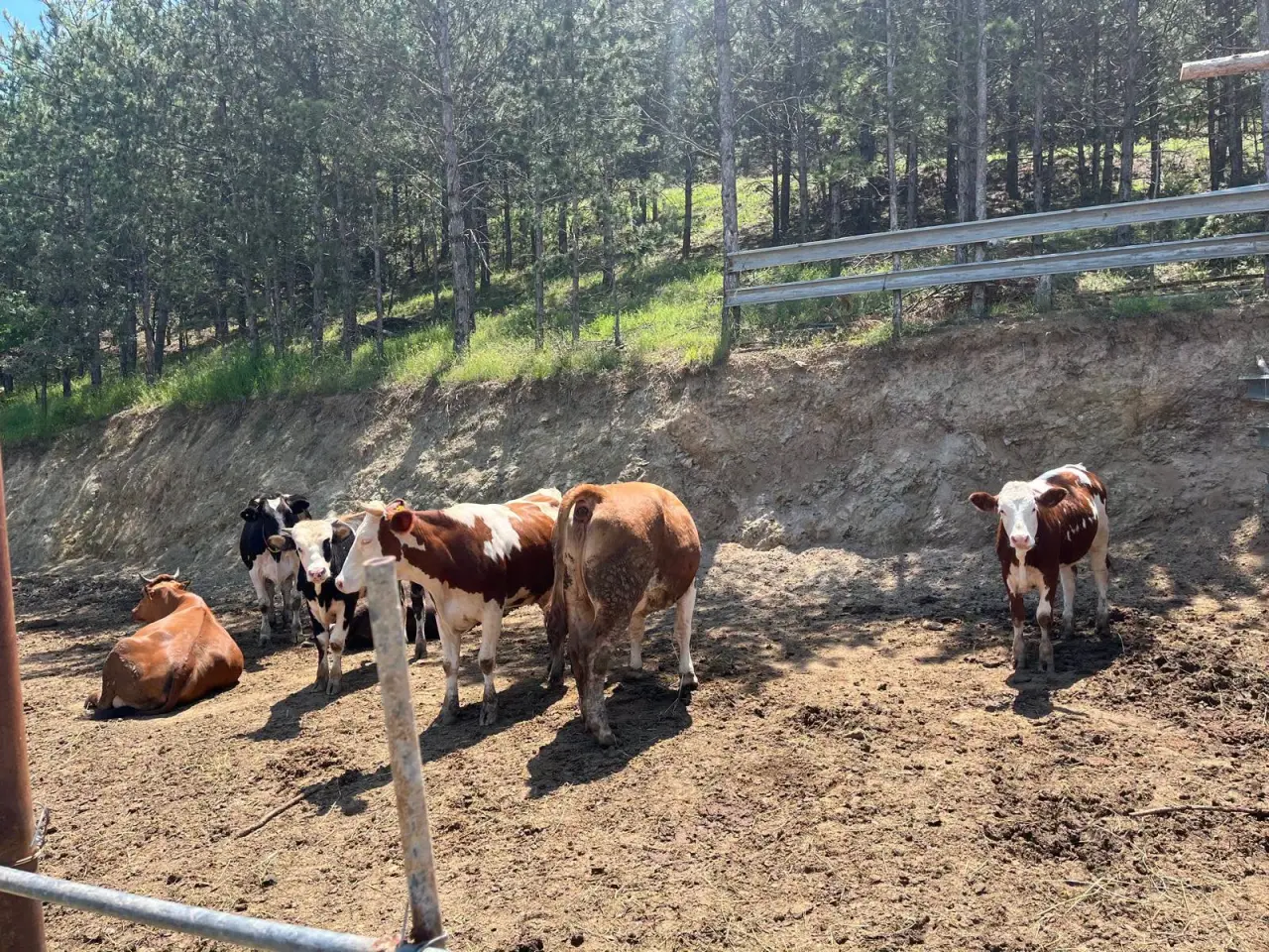 Amasya DSYB’den Üreticiye Yerinde Destek 3