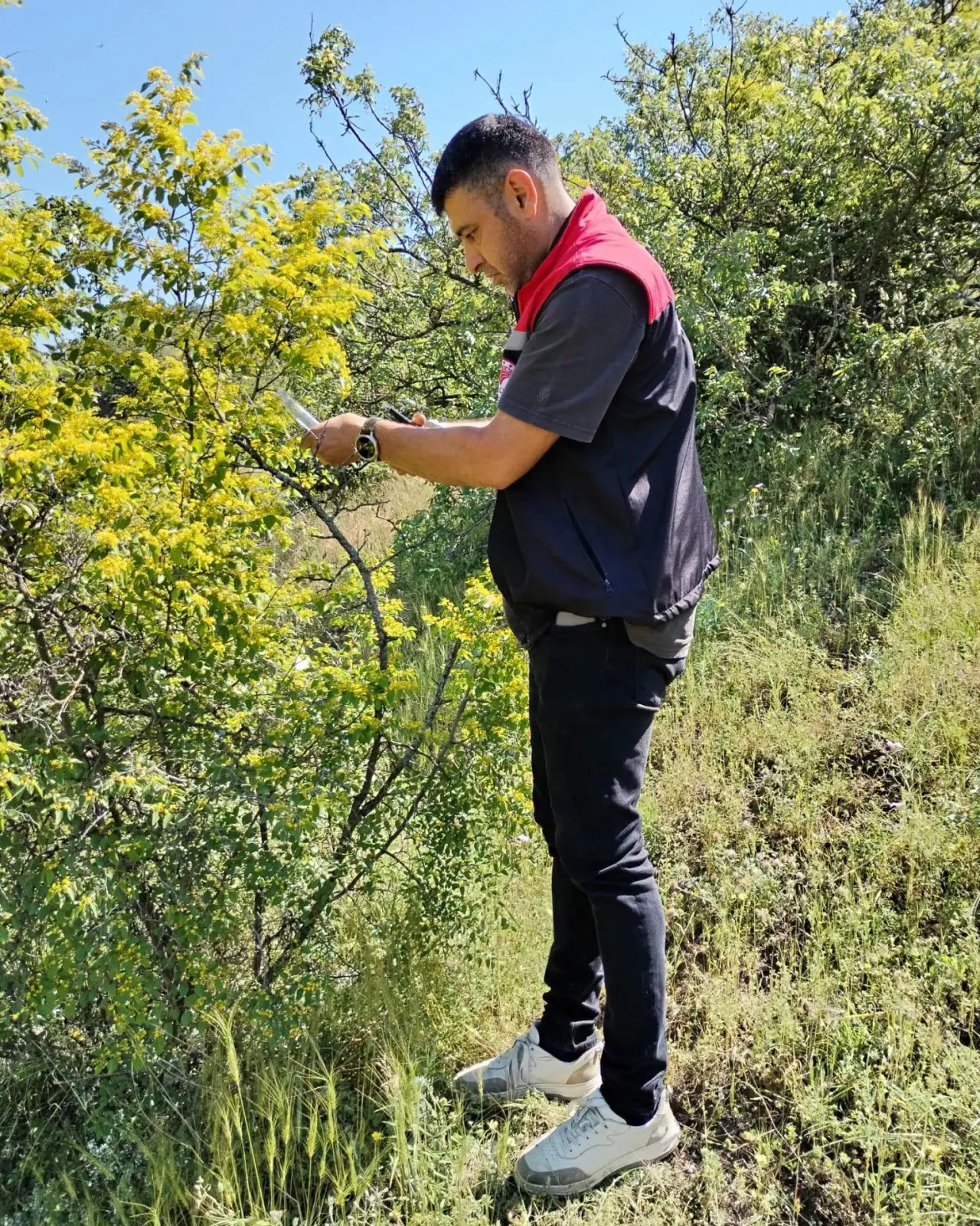 Amasya Tarımından Çevreci Mücadele Hamlesi 2