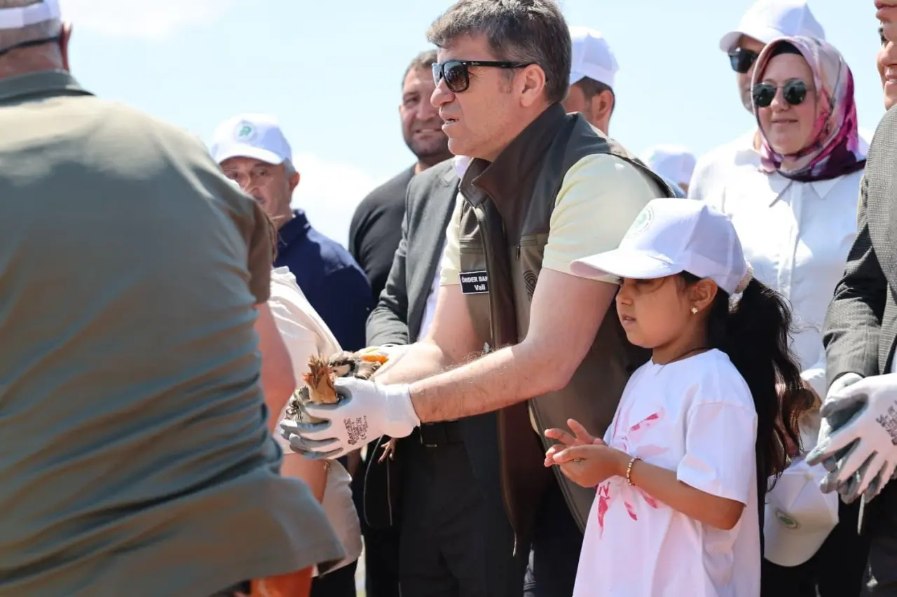 Amasya'da Doğaya Yüzlerce Kınalı Keklik Salındı 1