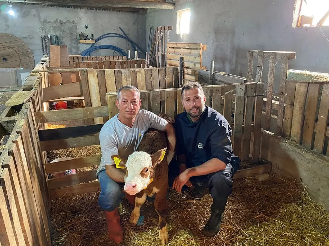 Amasya’da Genetik Kalite Artıyor 1