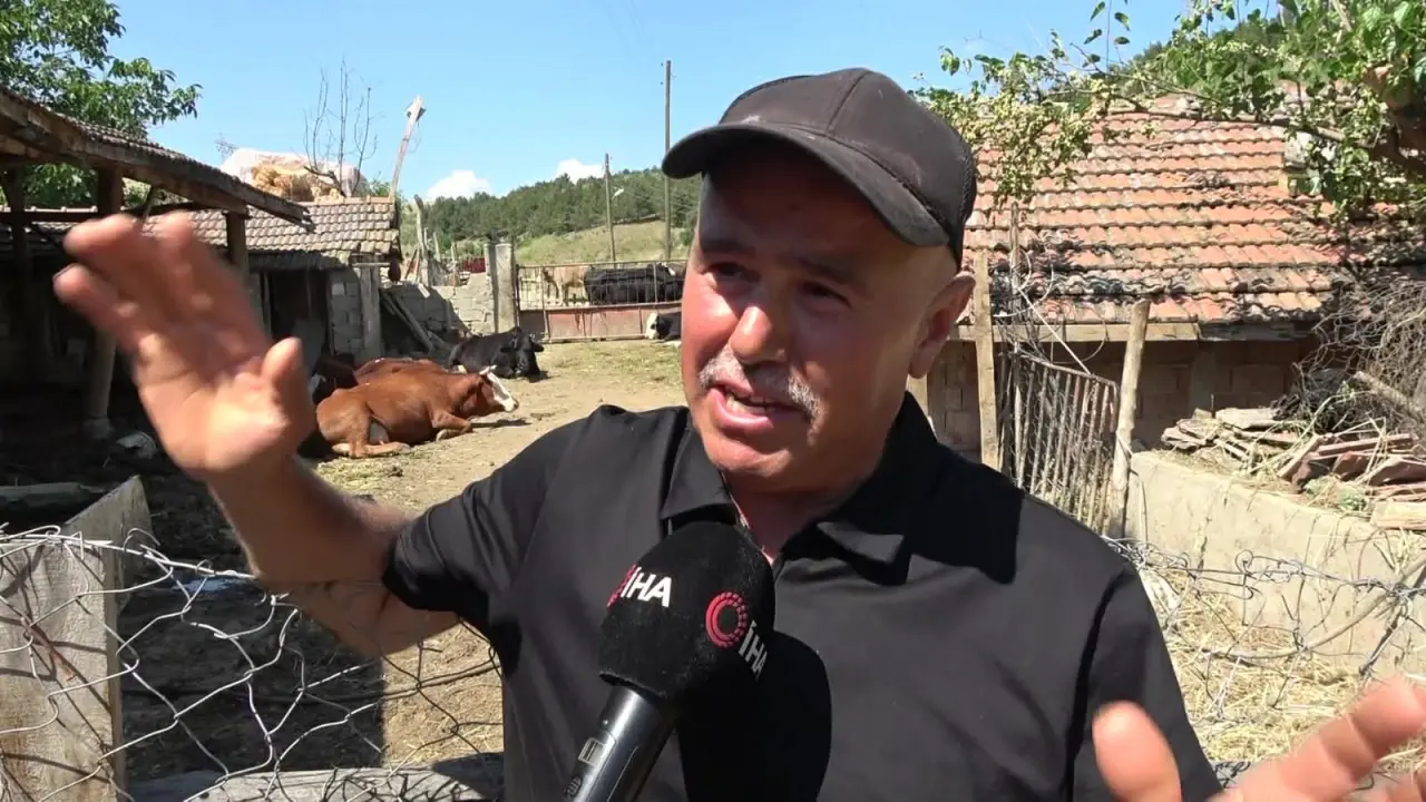 Amasya’da Renkli Hayvancılık Hikayesi 7