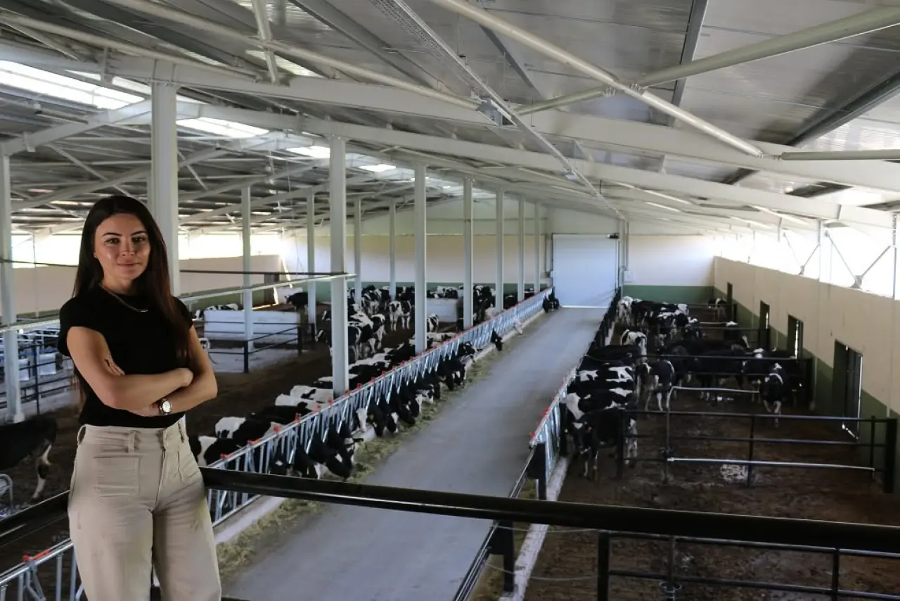 Çorumlu Genç Kadın Mimar Köyüne Süt Üretim Çiftliği Kurdu 4
