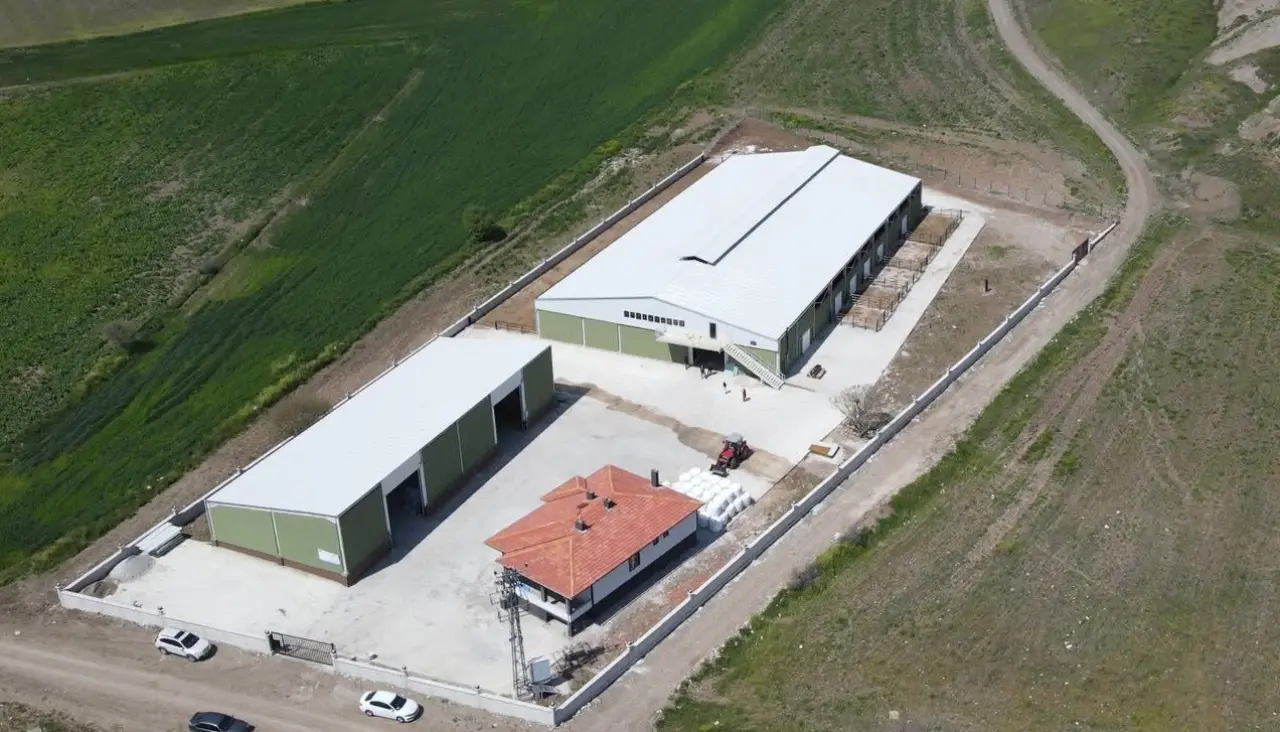 Çorumlu Genç Kadın Mimar Köyüne Süt Üretim Çiftliği Kurdu 2