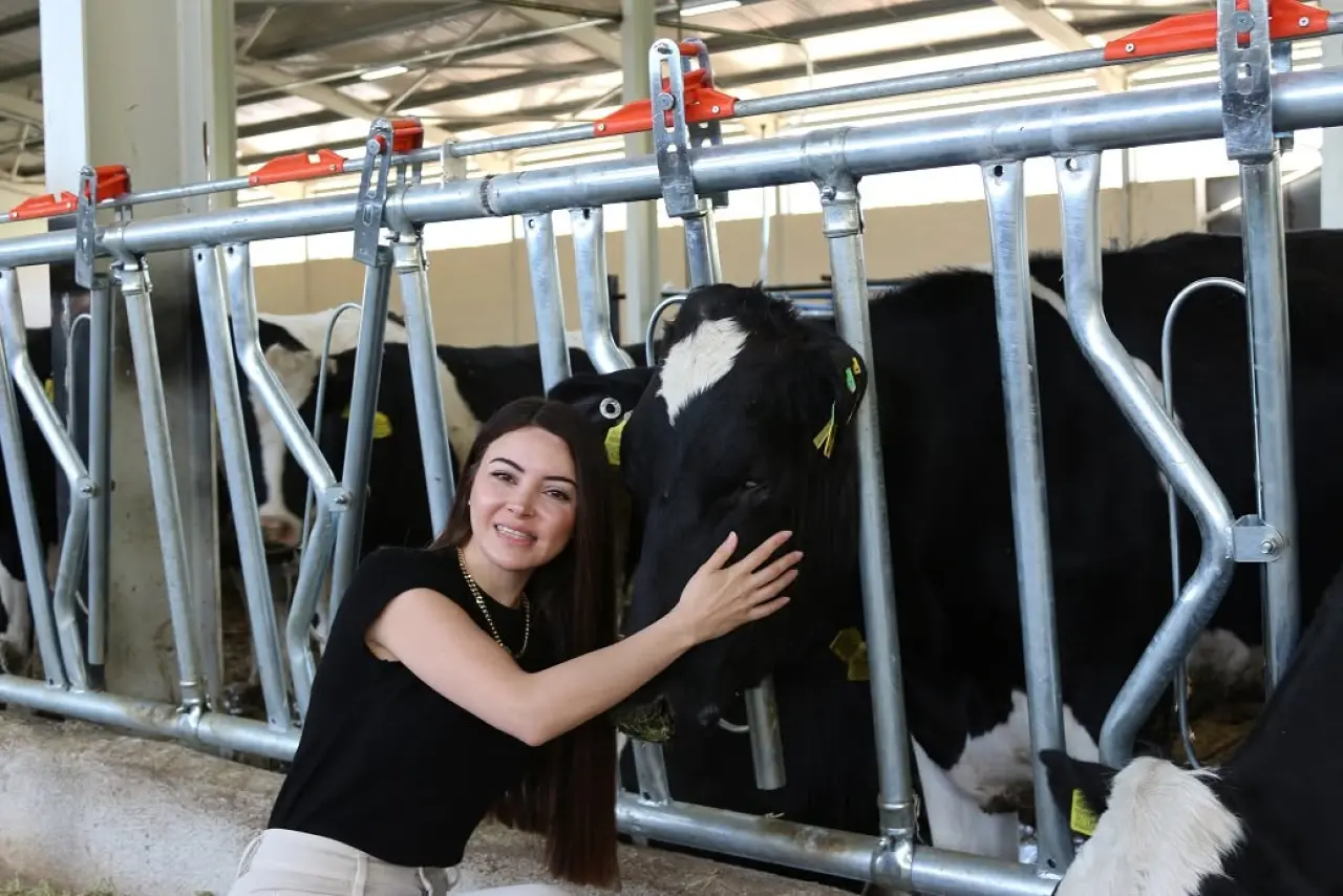 Çorumlu Genç Kadın Mimar Köyüne Süt Üretim Çiftliği Kurdu 3
