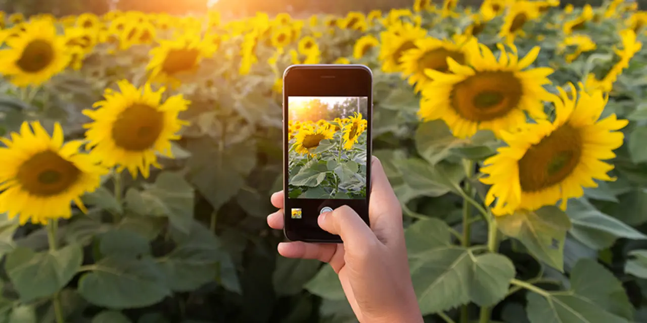 Güzel Fotoğraf Çekinmenin Sırları Açıklandı! 1
