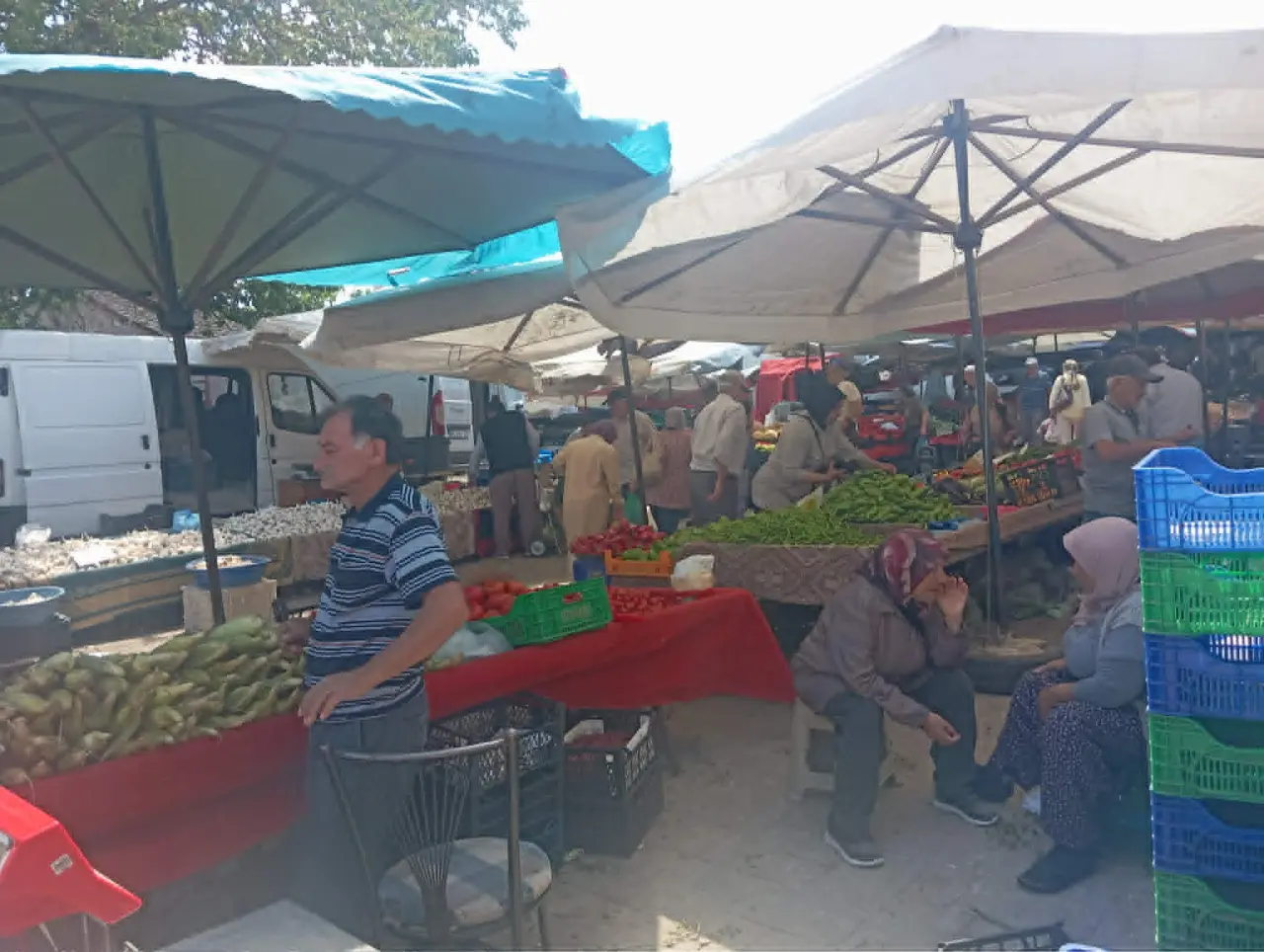 Merzifon Pazarında Fiyatlar Sabit Kaldı! Gözler Yerli Ürünlerdeki İndirime Çevrildi 3