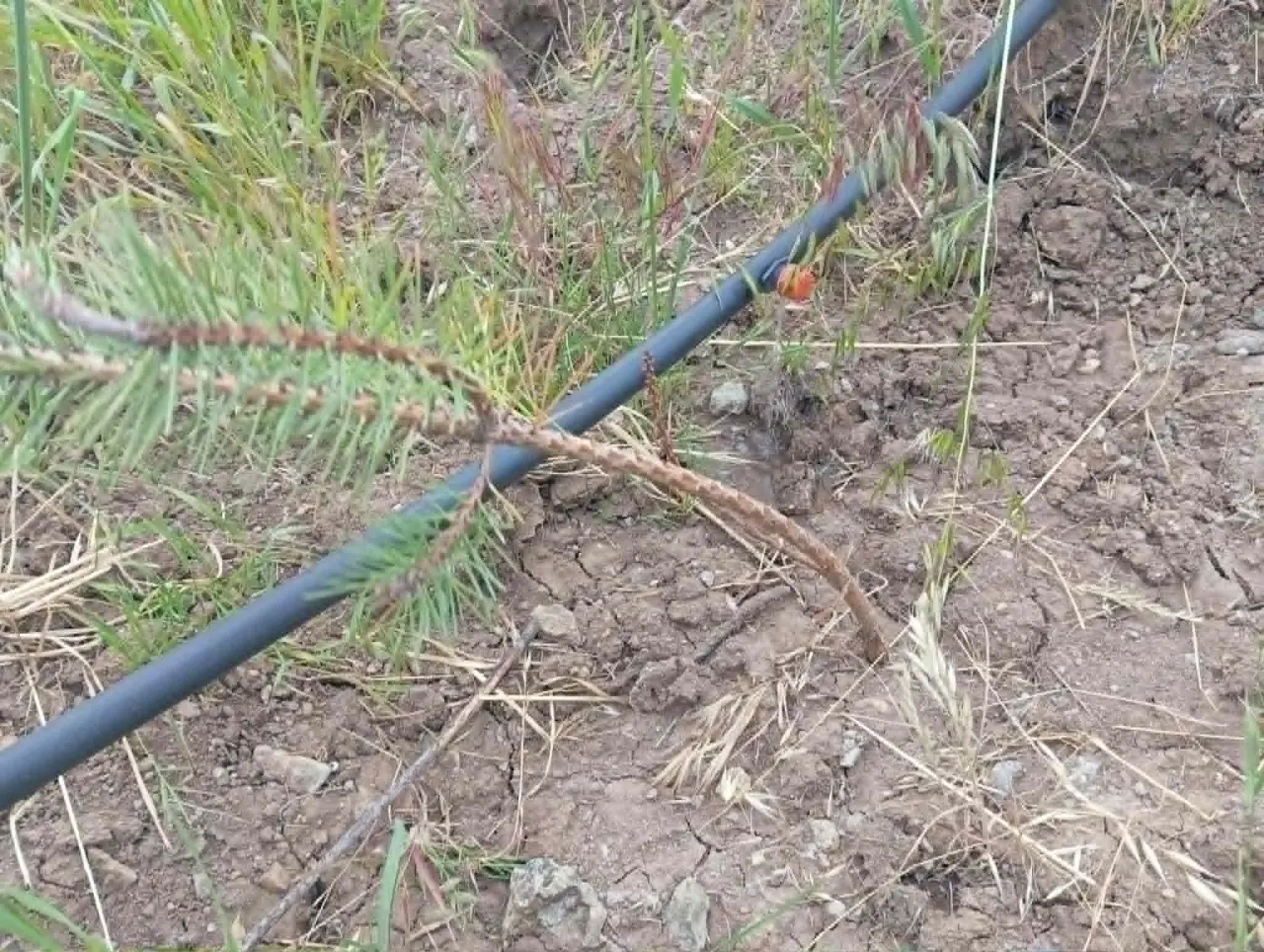 Merzifon’da Çöplük Cennete Dönüşüyor! 4
