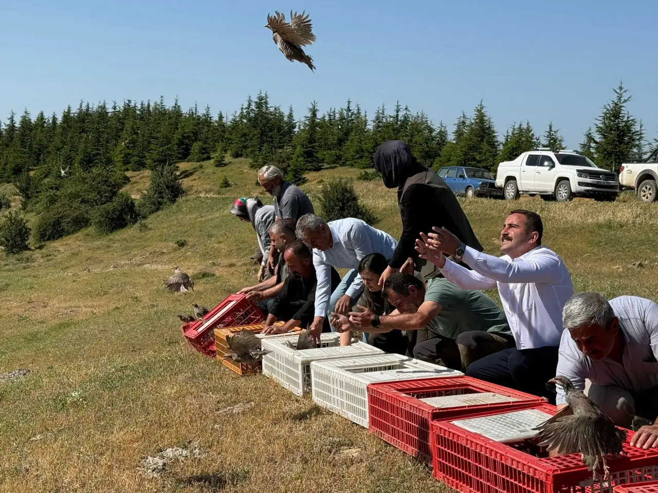 Merzifon’da Keklikler Doğayla Buluştu 5