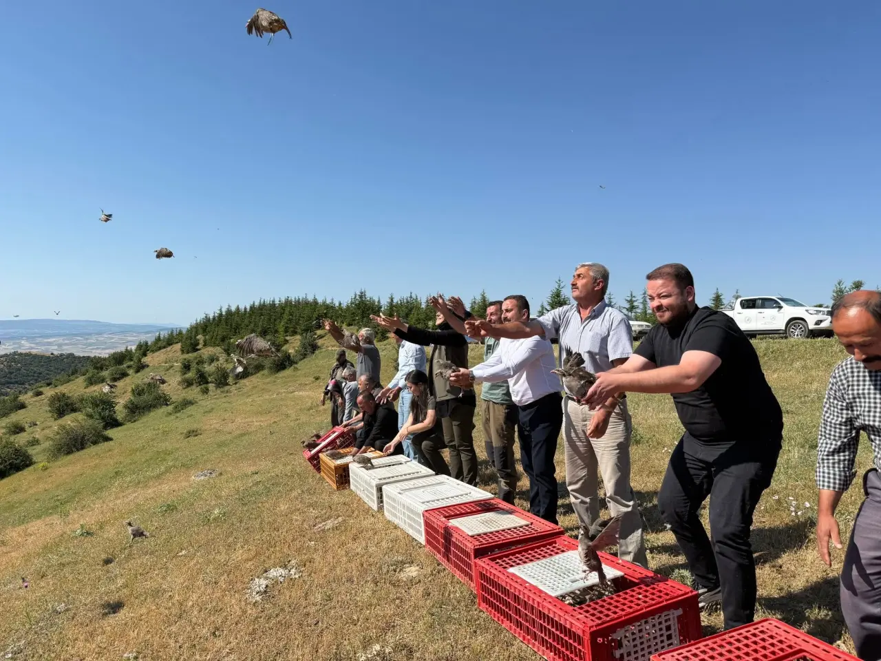 Merzifon’da Keklikler Doğayla Buluştu 6