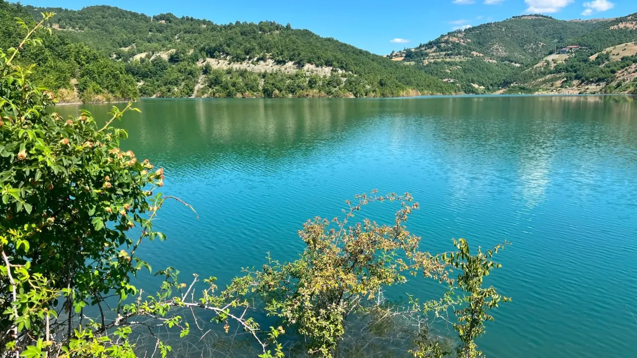 Taşova'da Kaçak Avcılığa Geçit Yok! 1