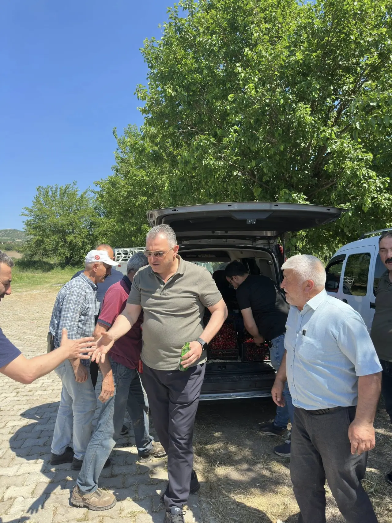 Vekil Hasan Çilez Amasya'da Kiraz Hasadına Katıldı 3