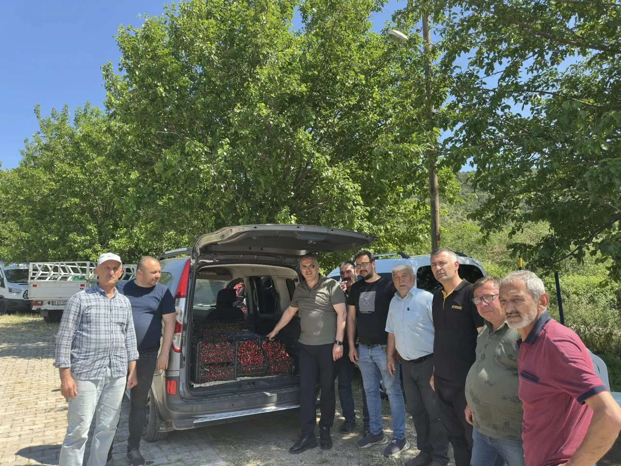 Vekil Hasan Çilez Amasya'da Kiraz Hasadına Katıldı 1