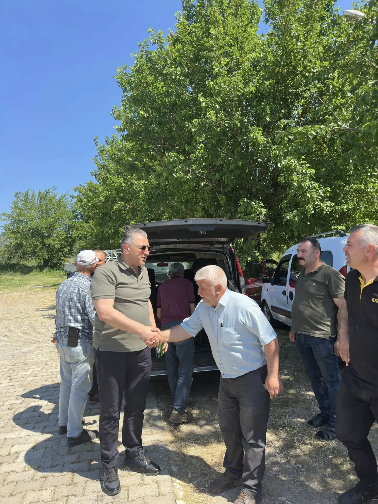Vekil Hasan Çilez Amasya'da Kiraz Hasadına Katıldı 2