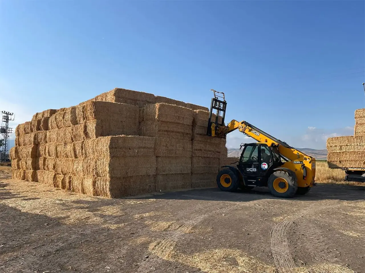 Amasya'da Günde 350 Ton Saman Mesaisi 5