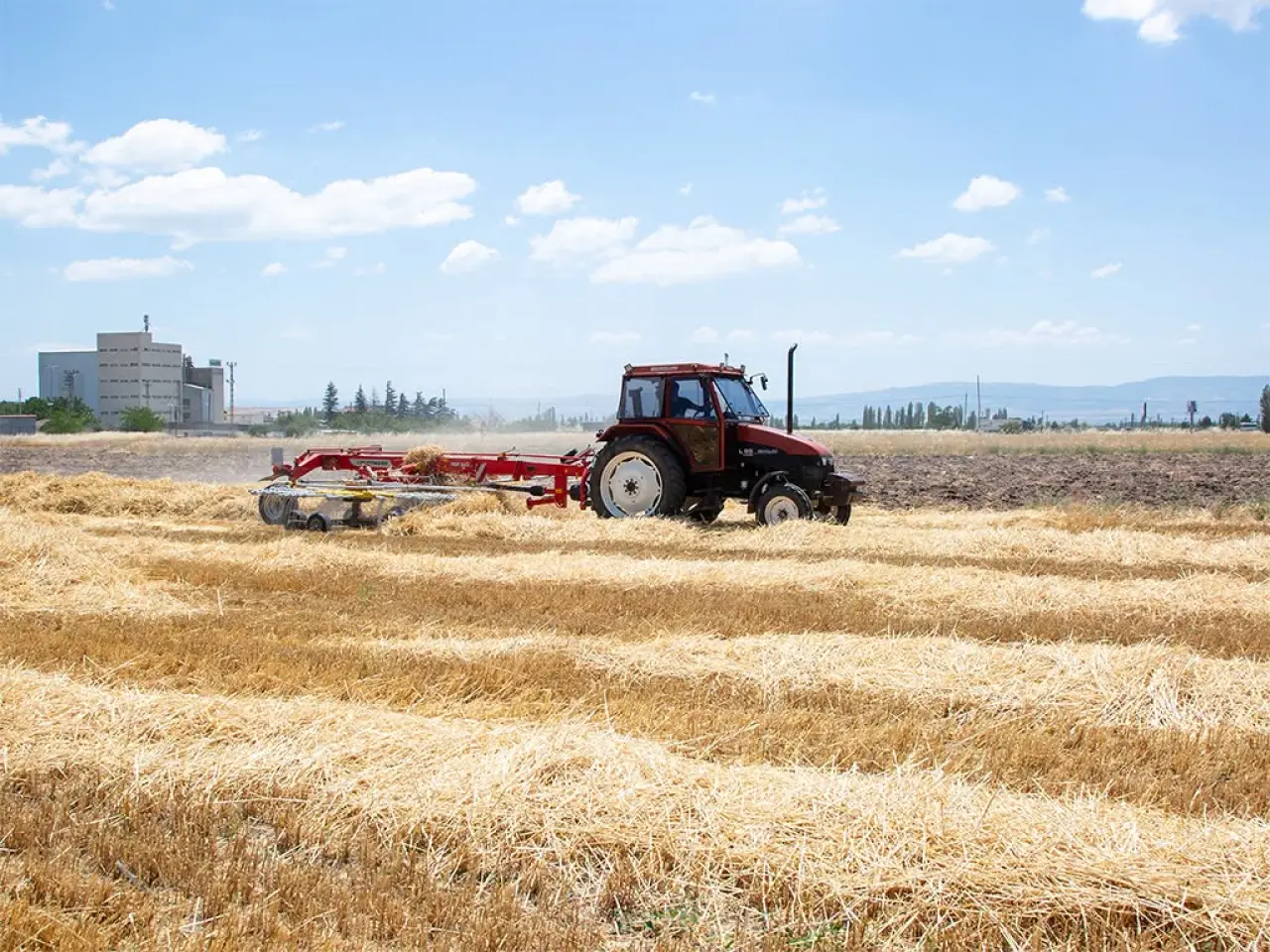 Amasya'da Günde 350 Ton Saman Mesaisi 3