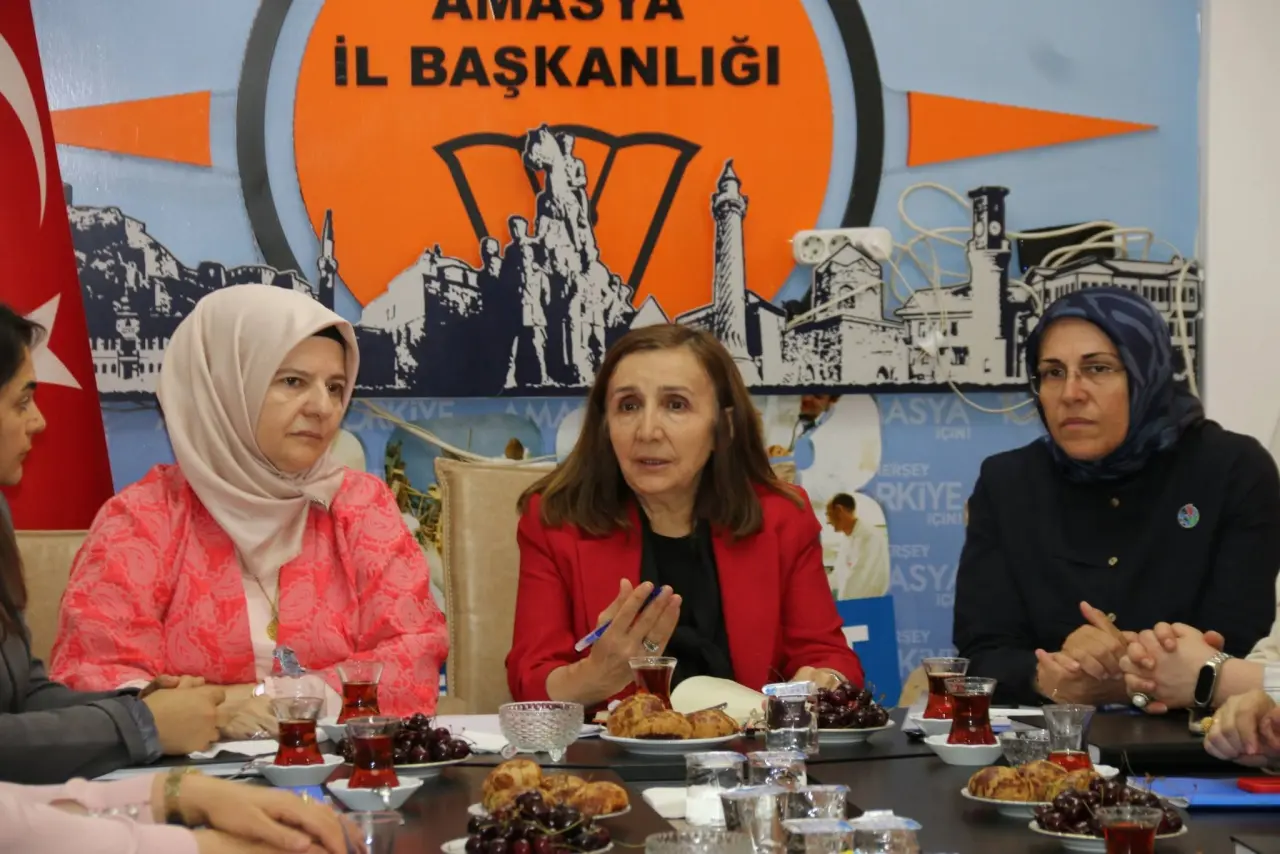 Amasya'da Kadın Kolları Zirvesi 1