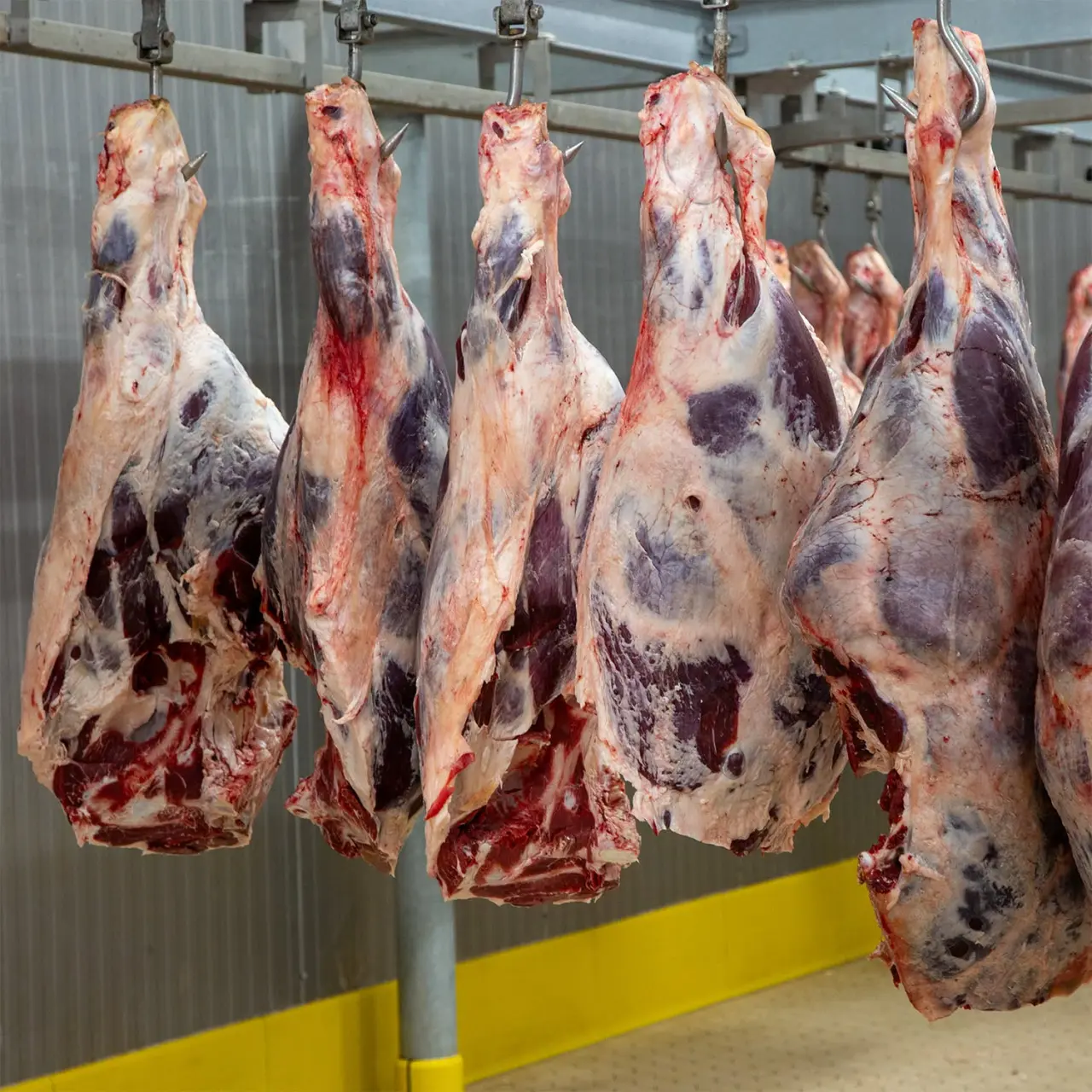 Amasyalı Üreticinin Emeği Güvenle Sofralara Ulaşıyor 1