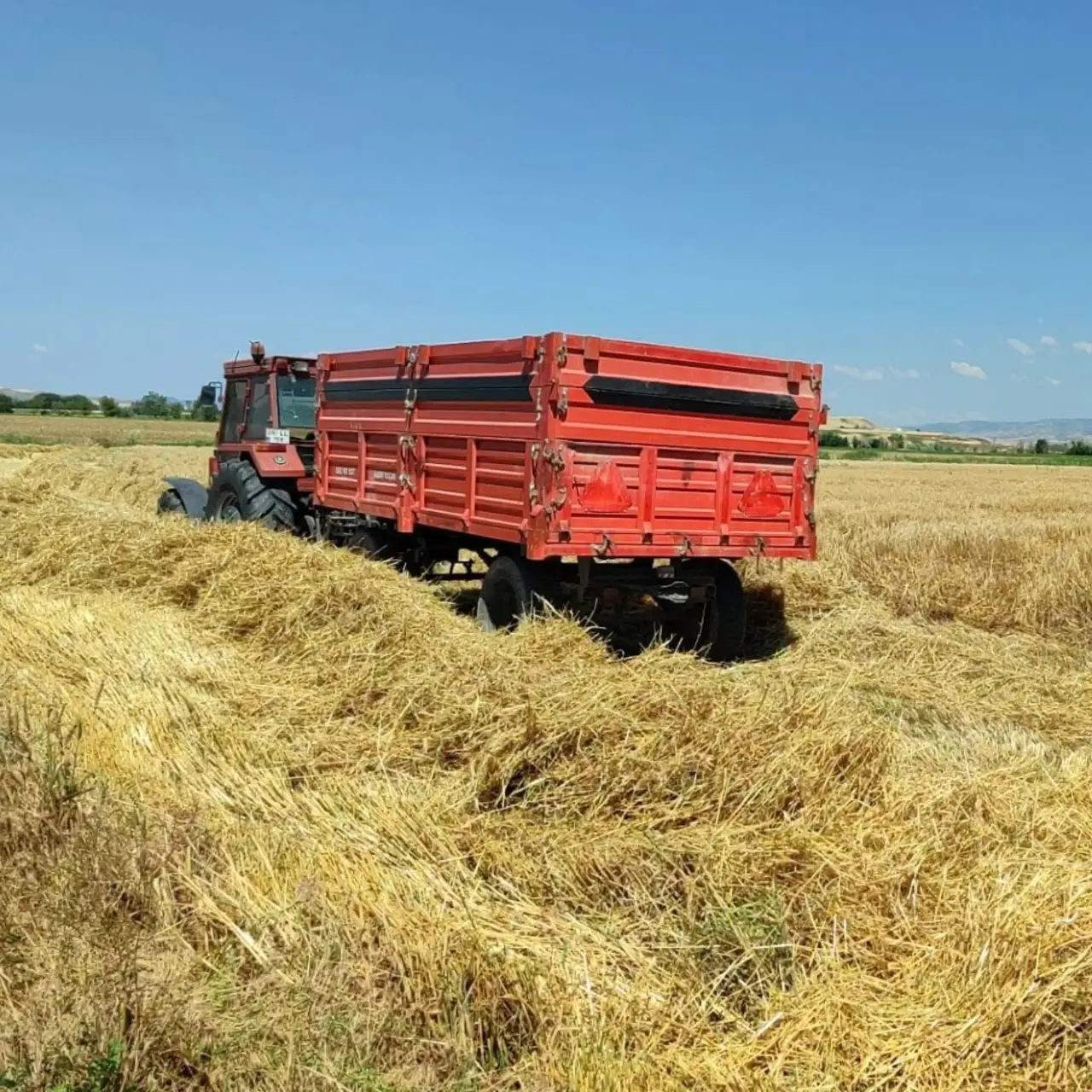 Merzifon'da Hasatta Kayıpların Önüne Geçiliyor 3
