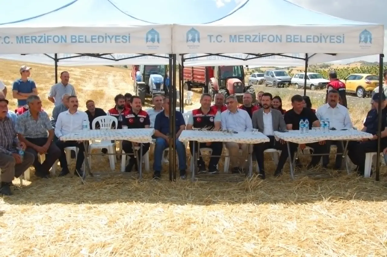 Merzifon'da İlk Kez Ekilen Kanola Hasat Edildi: Çamlıca Köyü'nde Tarihi Gün 4