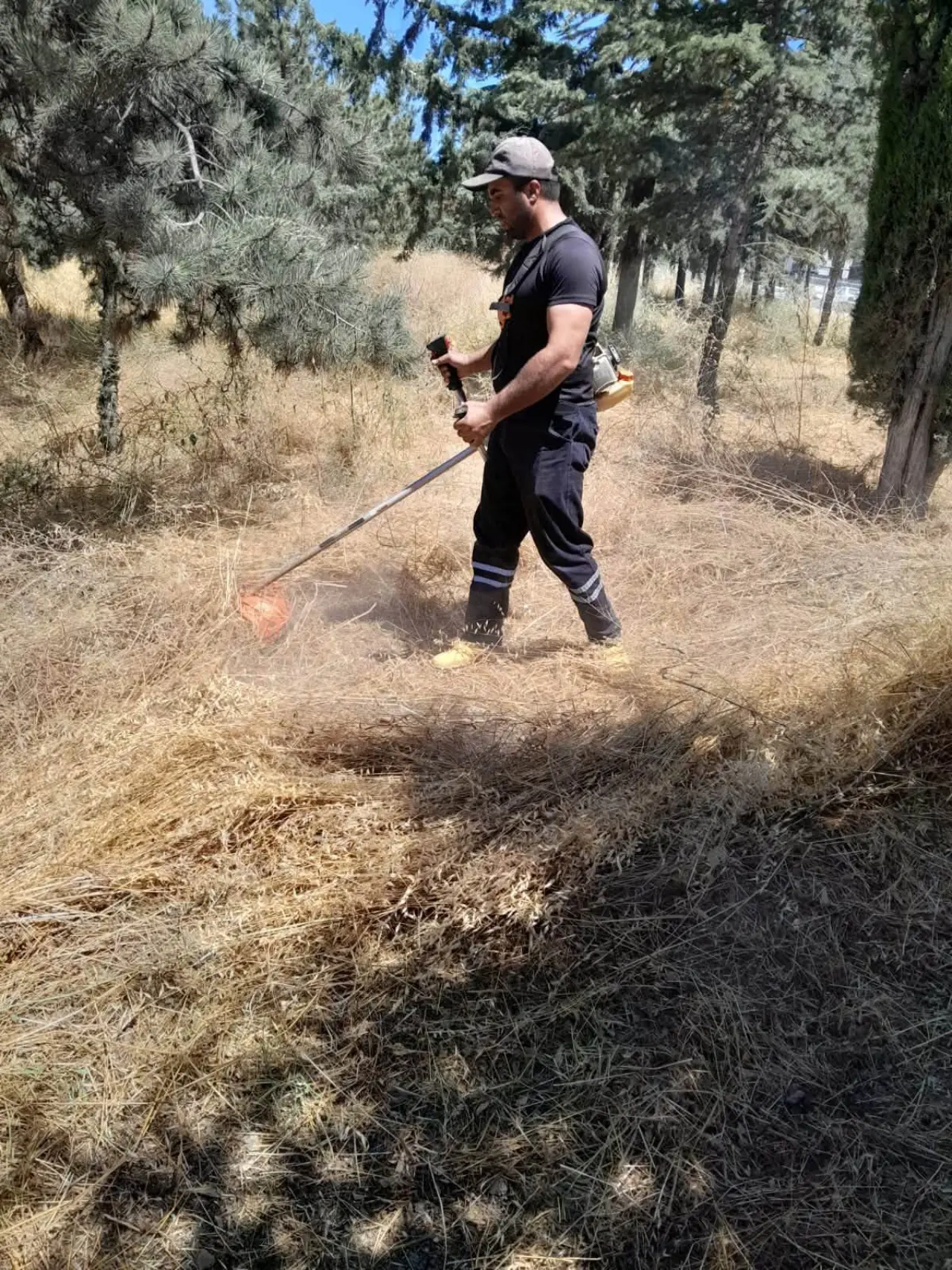 Merzifonlu Gençlerden Yeşil Vatana Destek 1