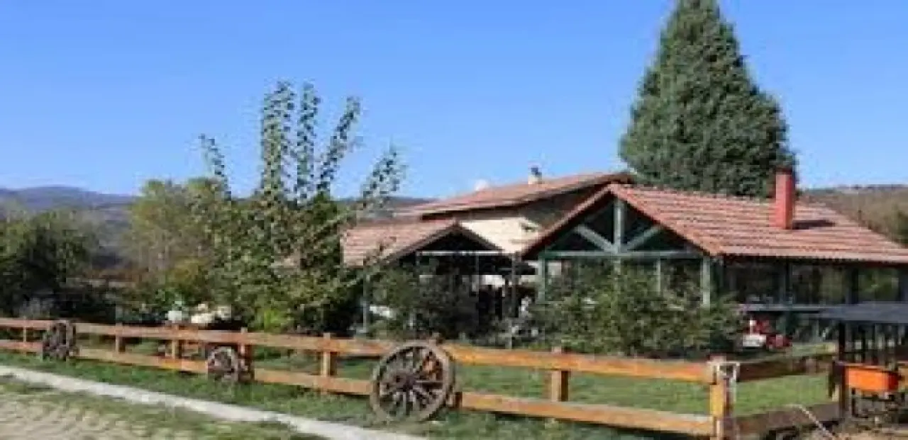 Rüyada Çiftlik Görmek Ne Anlama Gelir? Bolluk, Bereket ve Yeni Başlangıçların Habercisi Olabilir! 2