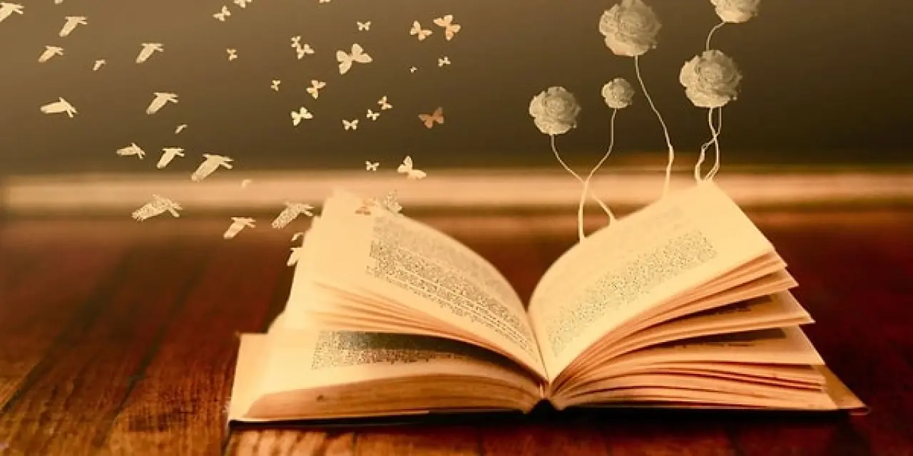 Rüyada Kitap Görmek Ne Anlama Gelir? İşte Merak Edilen Tüm Yorumlar 2