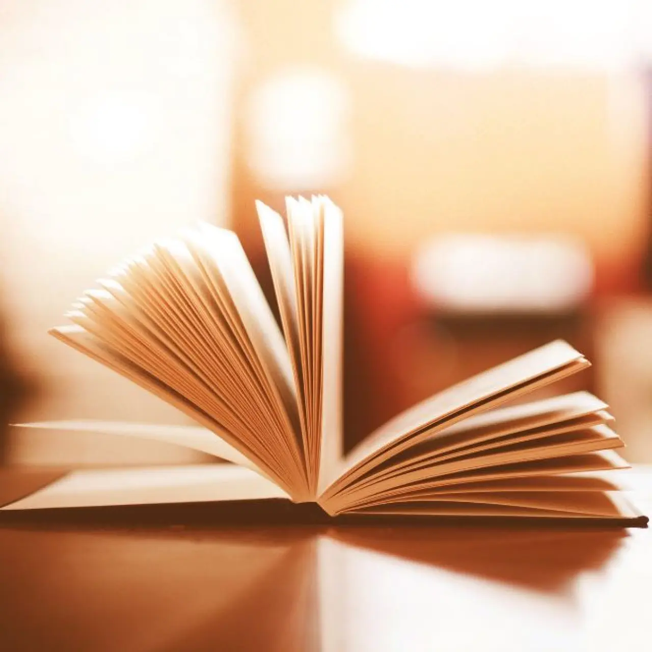 Rüyada Kitap Görmek Ne Anlama Gelir? İşte Merak Edilen Tüm Yorumlar 1