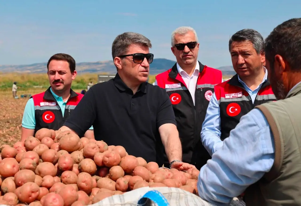 Vali Bakan Patates Hasadına Katıldı 5