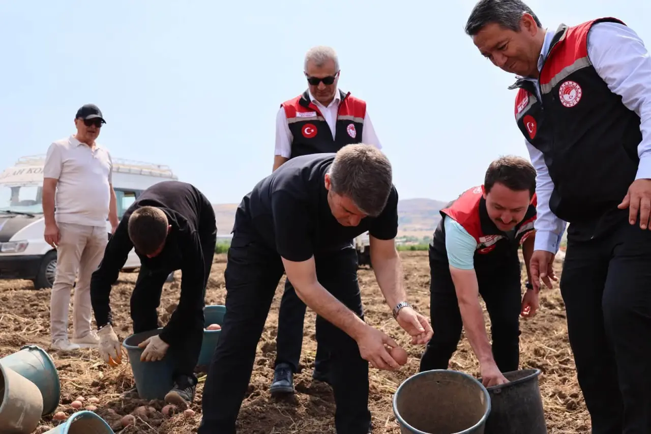 Vali Bakan Patates Hasadına Katıldı 3