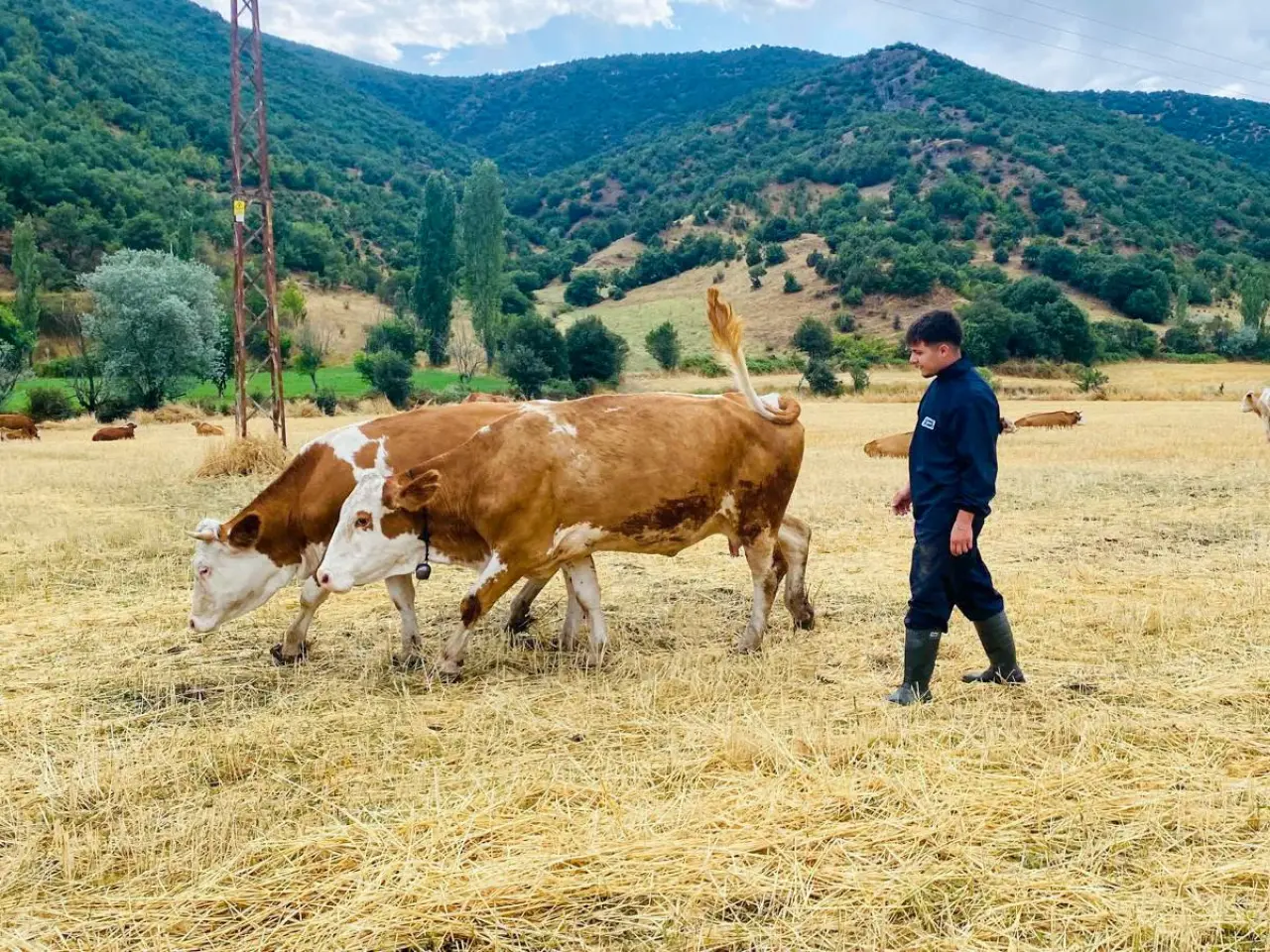 Amasya DSYB’den Küpeleme Çalışması 2