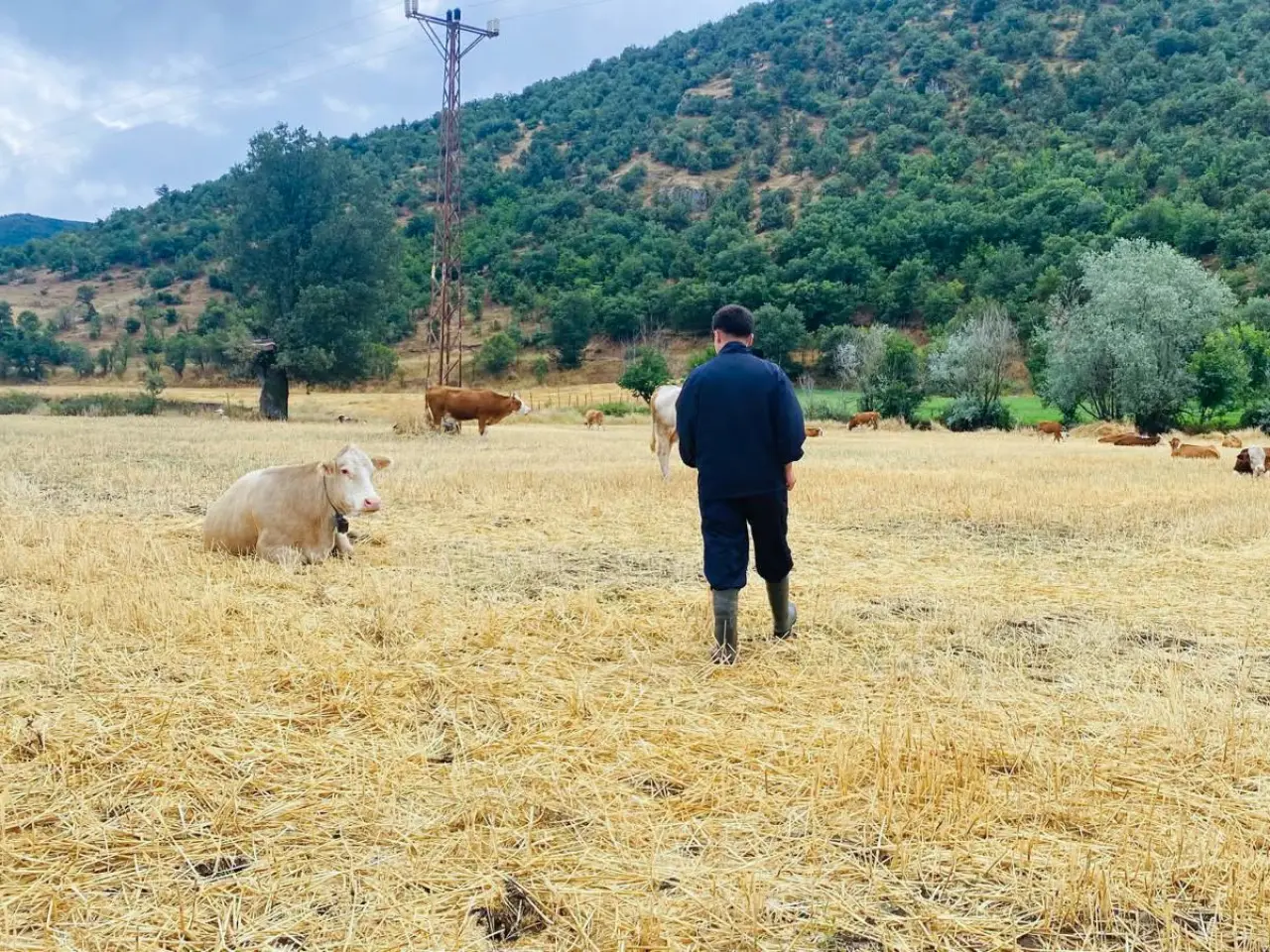 Amasya DSYB’den Küpeleme Çalışması 3