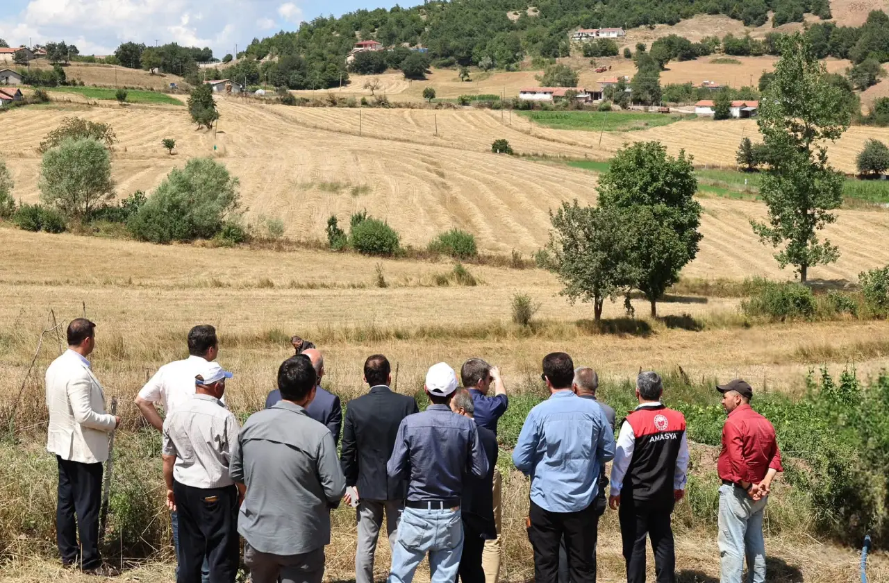 Amasya'da 190 Dekar Arazi Suyla Buluştu! 4