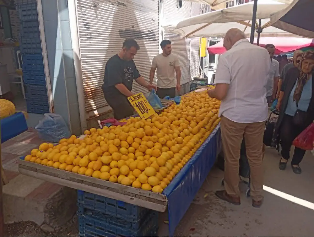 Merzifon Pazarı'nda Fiyatlar Güncellendi! Domates Düştü, Yerli Ürünler Tezgâhları Renklendirdi 1