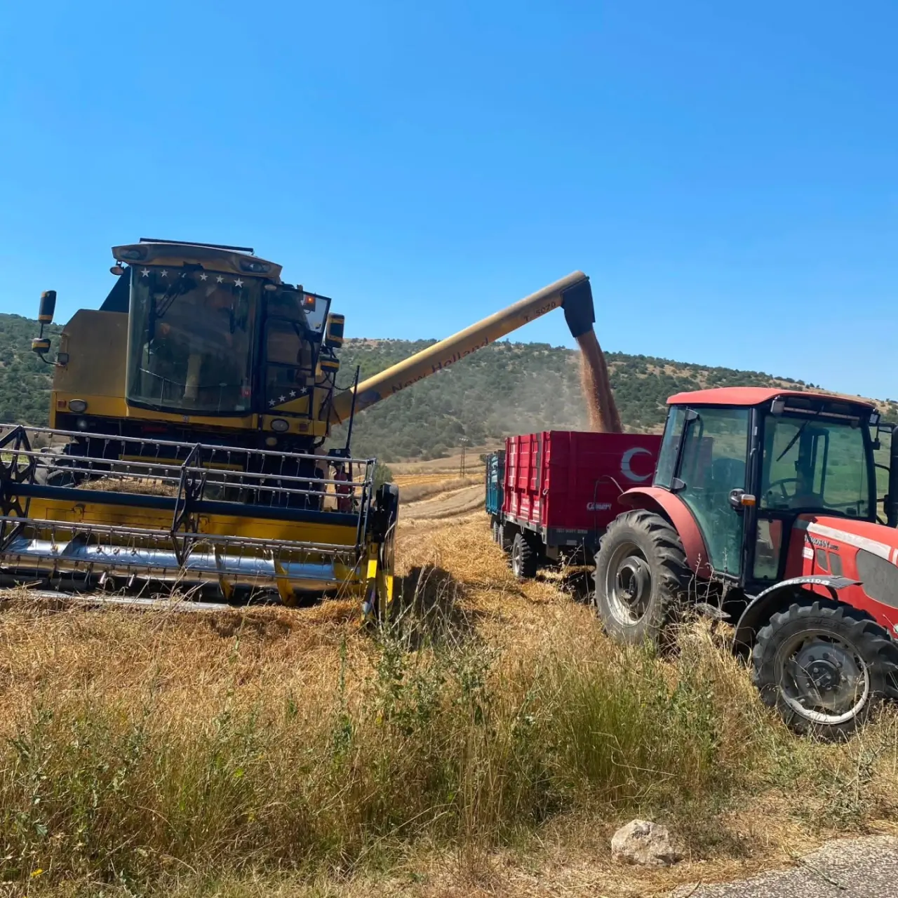 Merzifon’da Biçerdöverlere Sıkı Kontrol 3