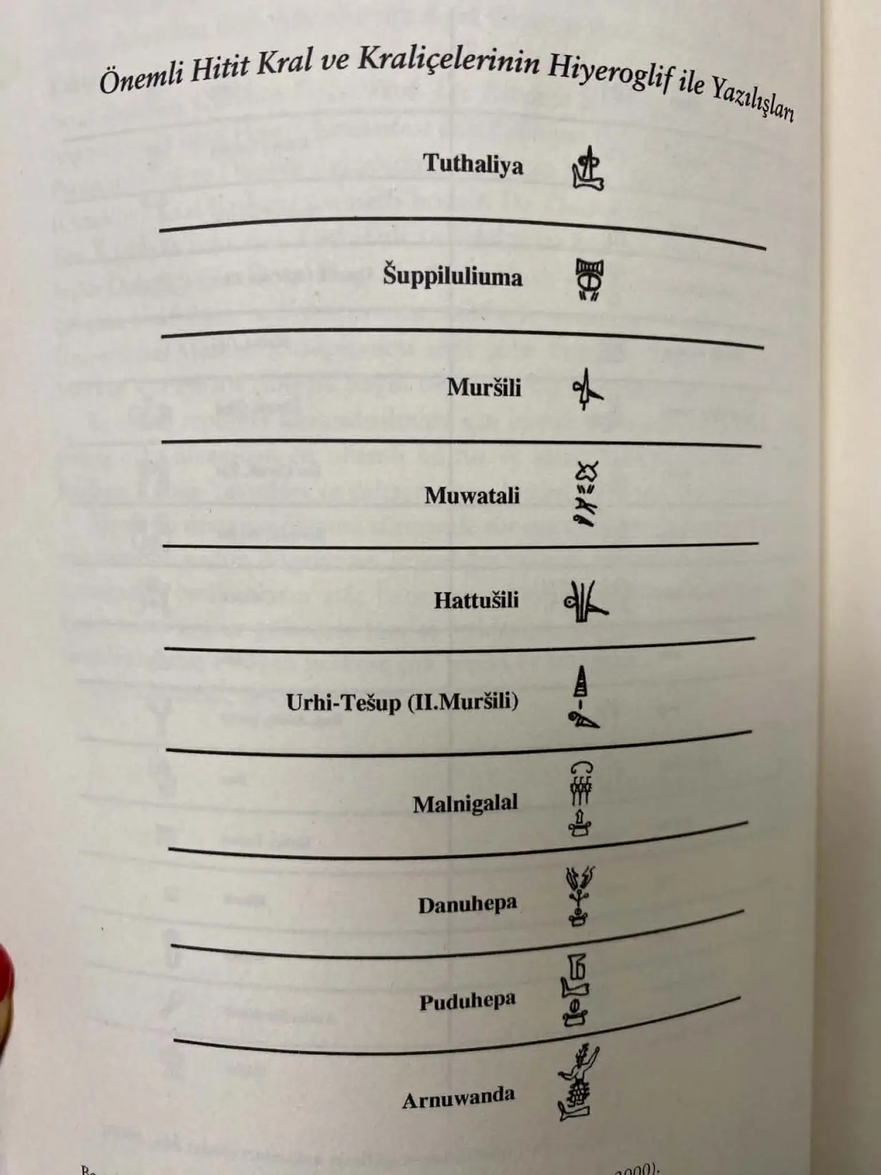 Merzifon’dan Çıktı, Seneca Ödülü Kazandı! 1