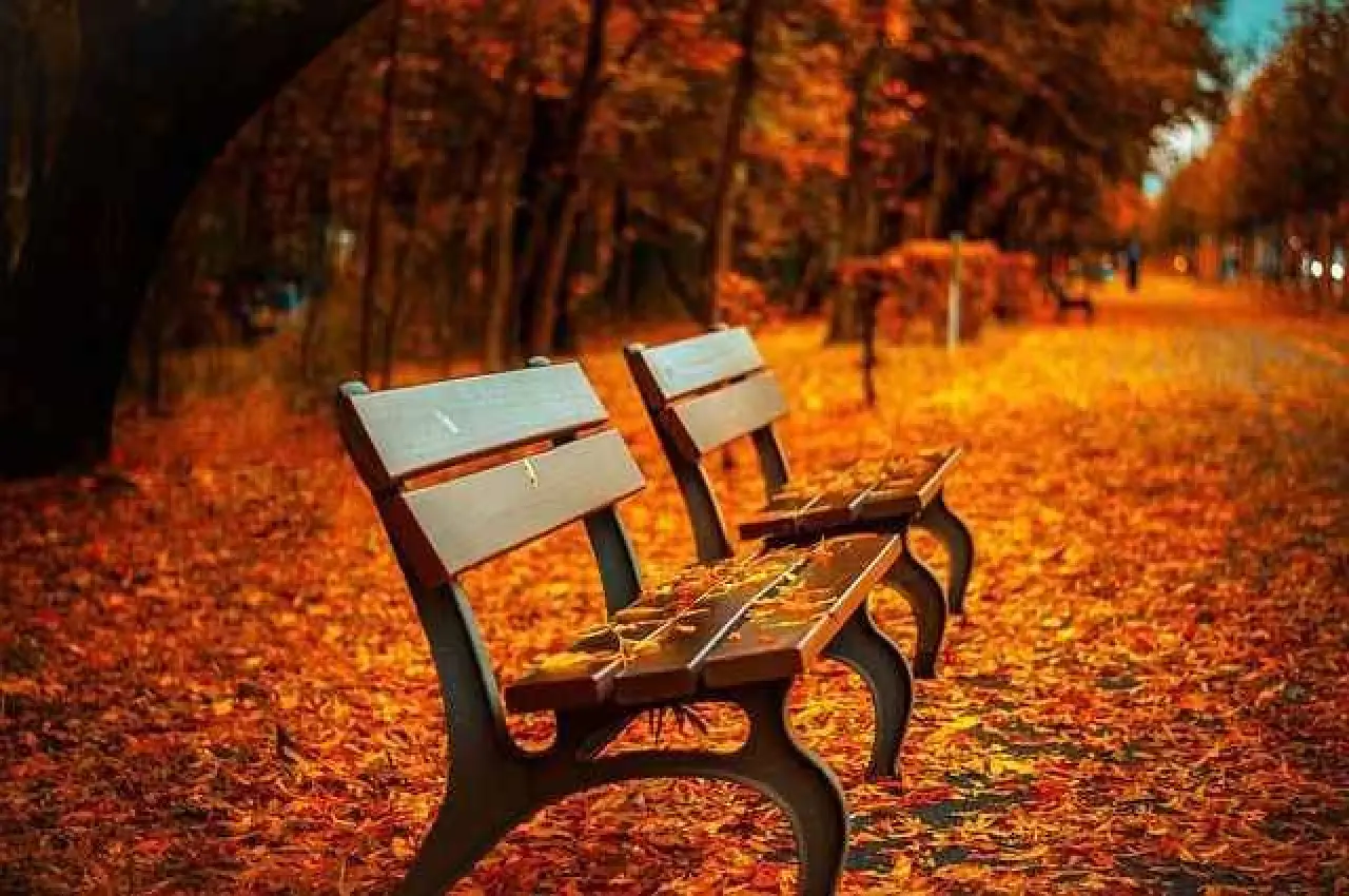 Rüyada Parkta Oturmak Ne Anlama Gelir? Huzur ve Yeni Başlangıçların Habercisi Olabilir! 1