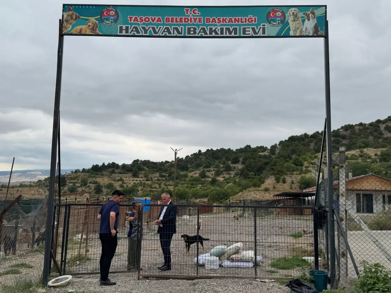 Taşova Belediyesi Can Dostlar İçin Sahada 2