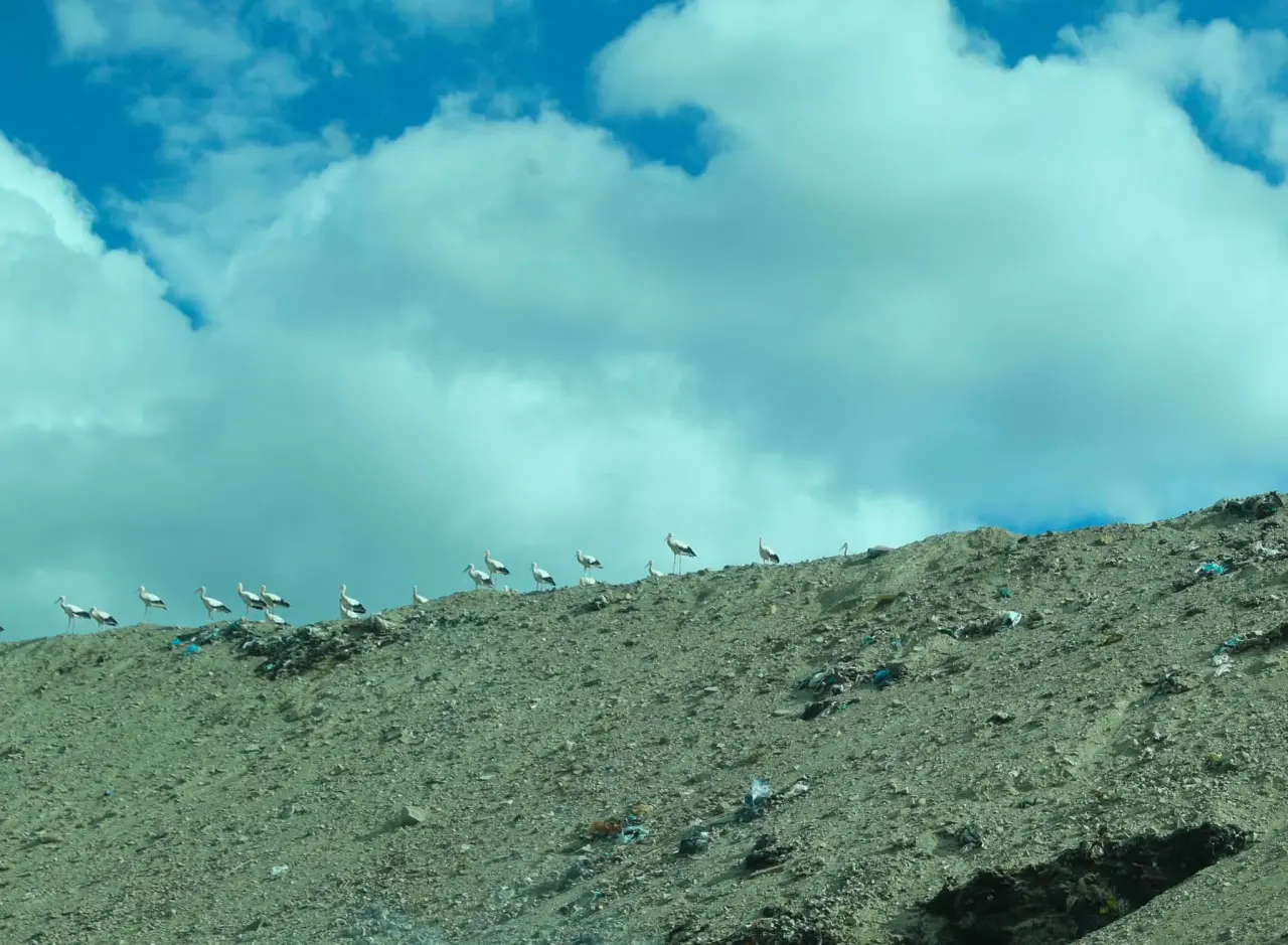 Amasya AKAB’da Son Durum Masaya Yatırıldı! 2