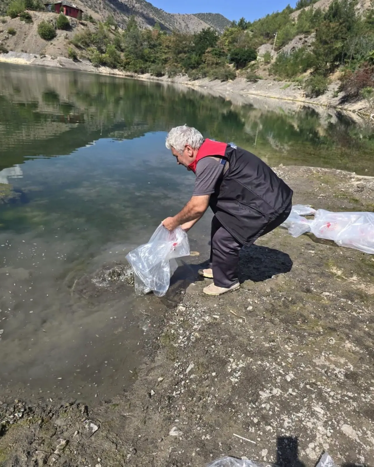 Amasya Göletlerine 200 Bin Sazan Yavrusu 1