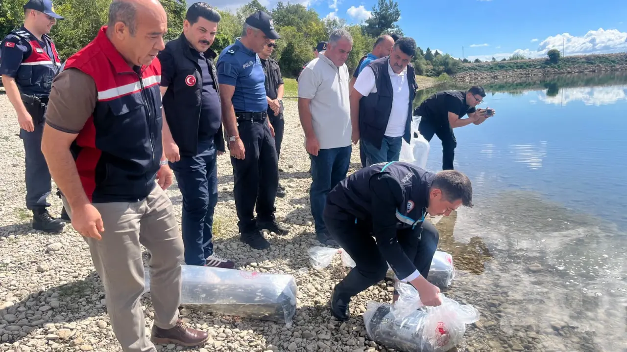 Amasya’da Barajlara Sazan Yavrusu Salındı 2