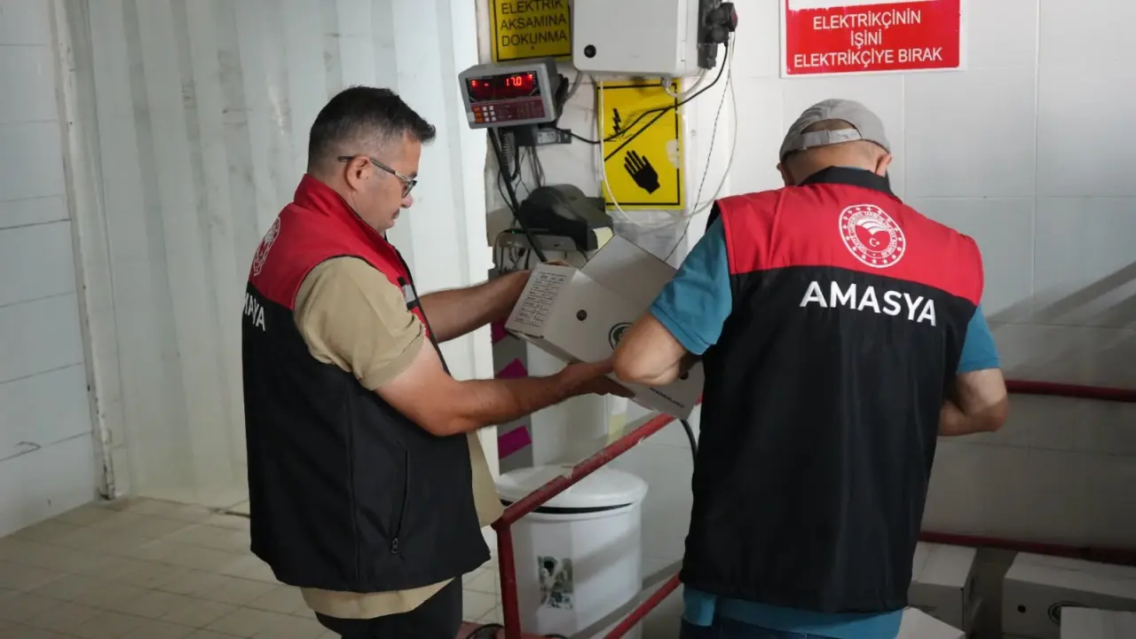 Amasya’dan Irak’a Süt Ürünleri İhracatına Sıkı Denetim 4
