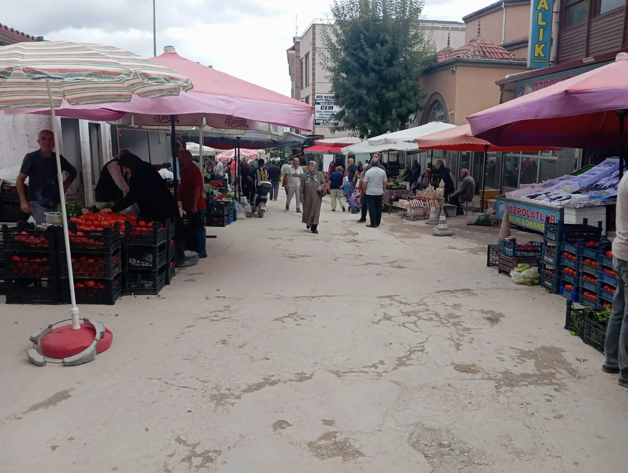 Merzifon Pazartesi Pazarı’nda Fiyatlar Düştü: Turşuluk Alışverişi Hızlandı 4