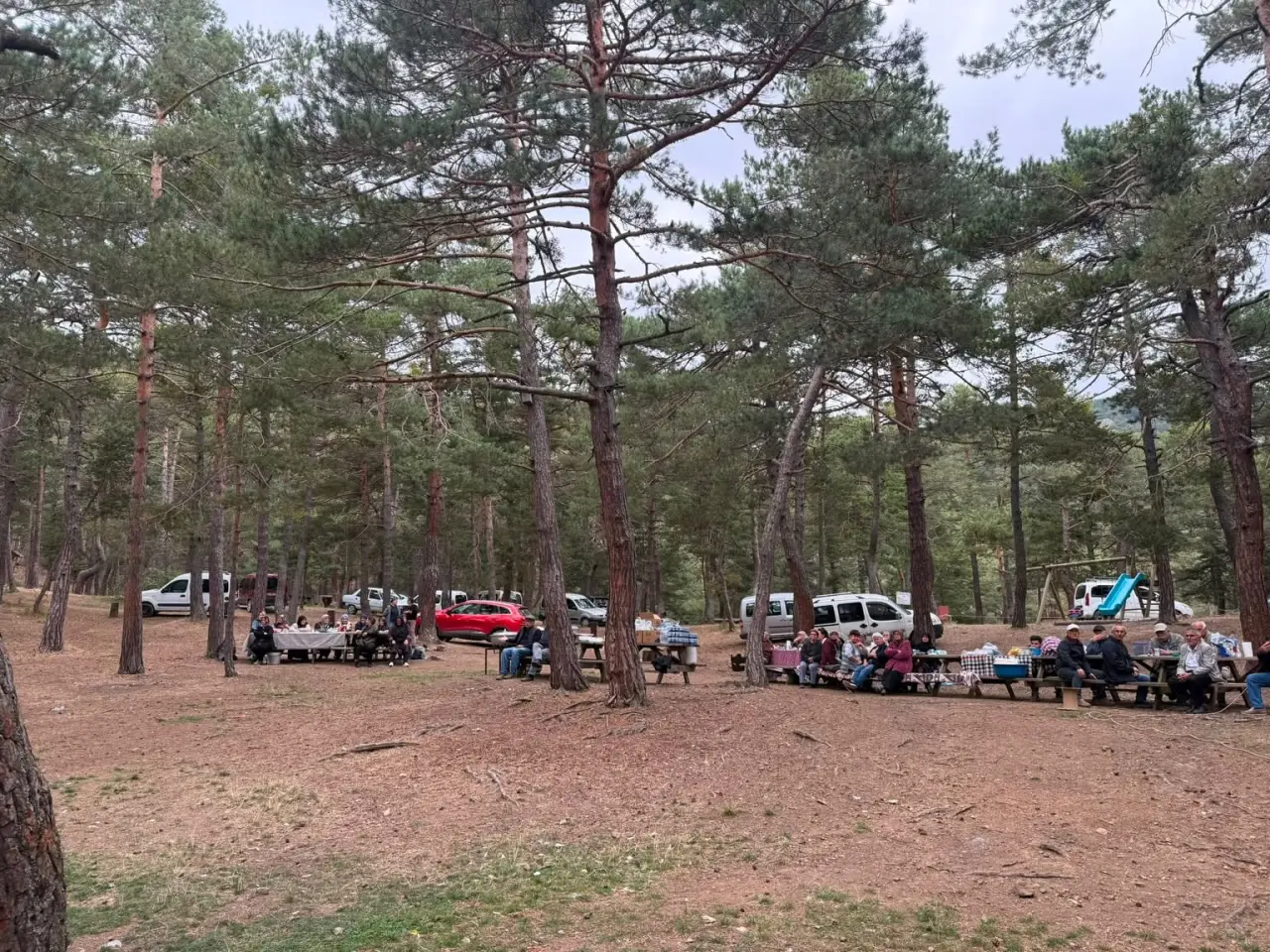 Yeni Parti’den Boraboy Çıkarması! 2