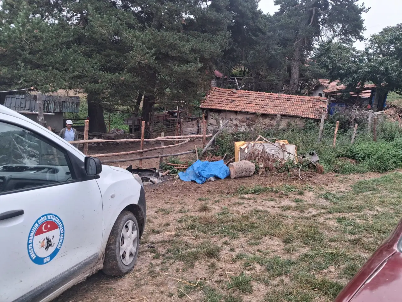 Amasya DSYB’den İl Genelinde Suni Tohumlama Çalışması 2